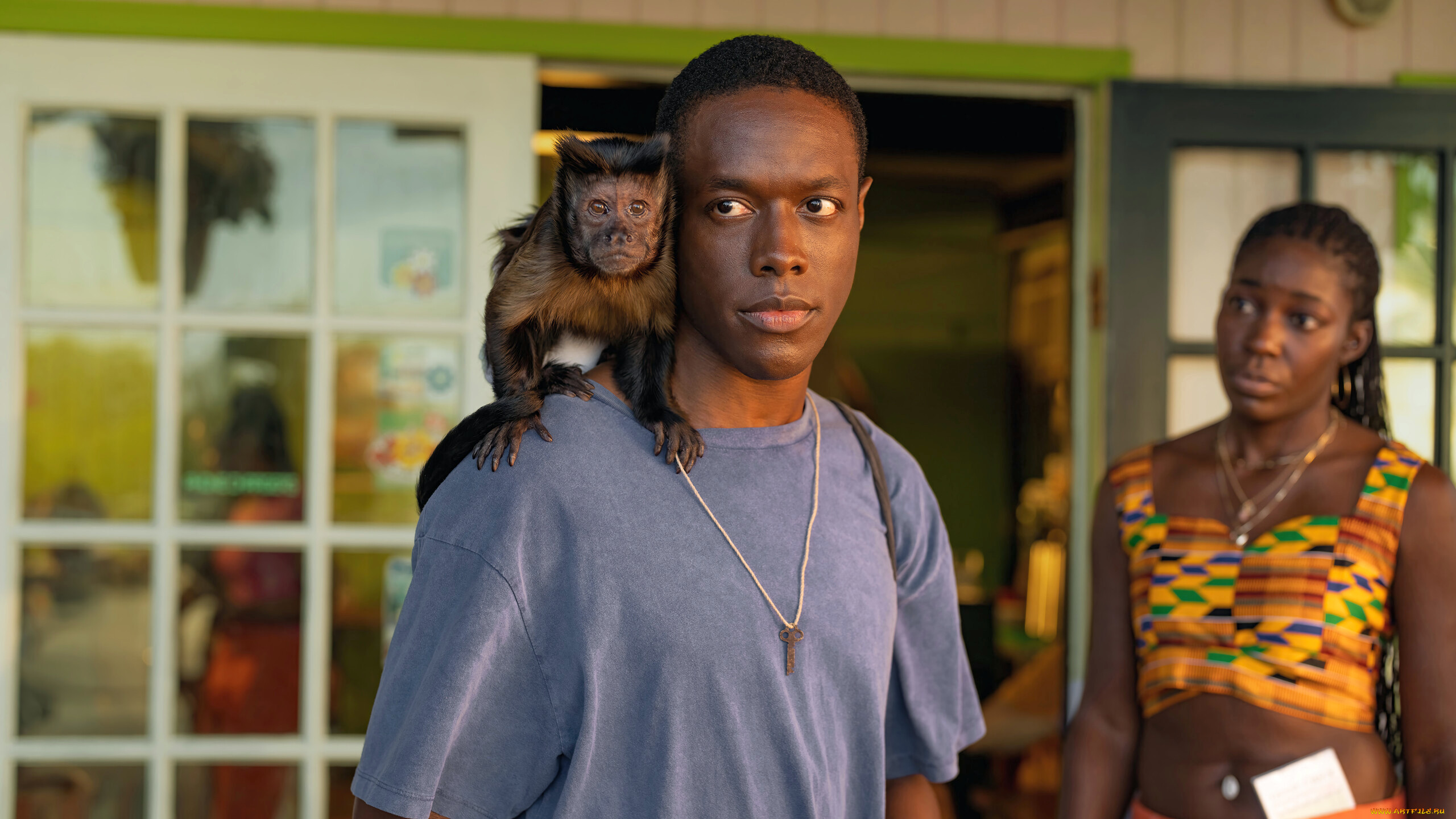 bad monkey ,  2024  ,  , -unknown , , , , , bad, monkey, apple, tv, plus, , , , ronald, peet, , , 